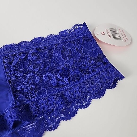 3 Splendies Cheeky Womens 1X Underwear Panties Sheer Lace Hearts Sexy NWT - Picture 12 of 13